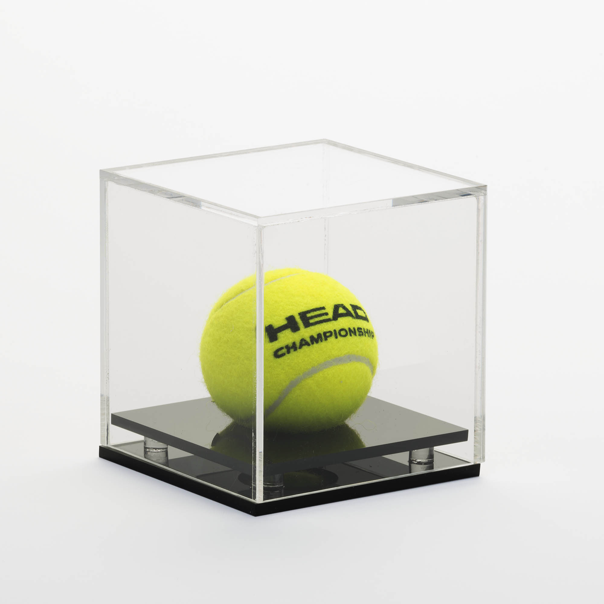 Cricket Tennis Ball Display Case. 